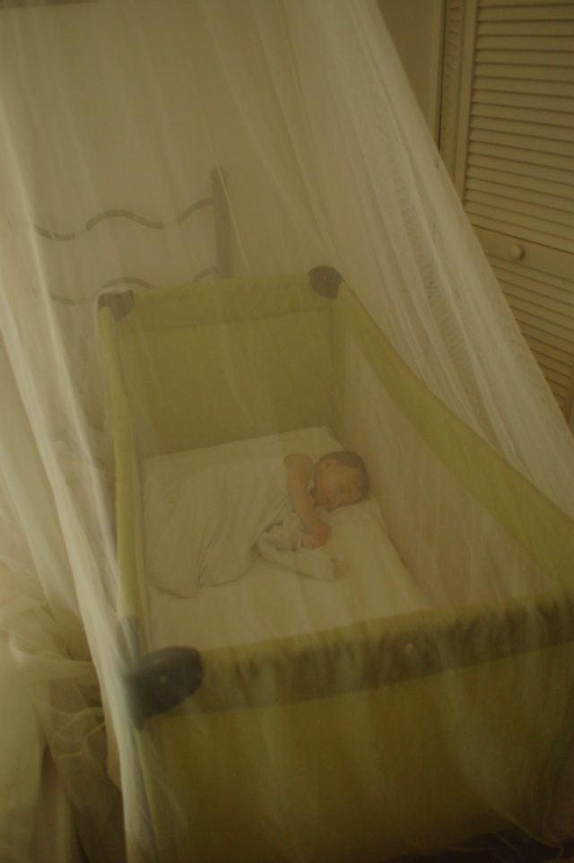 Baby Bug Free Zone