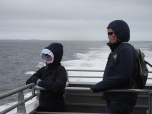 Cold Boston Whale Watching