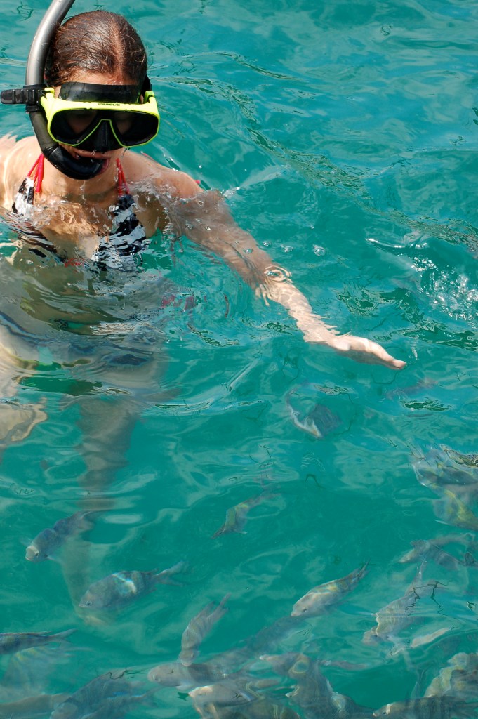 Dun, Dun. Dun, Dun. Dunana. What? Nobody's seen Jaws?