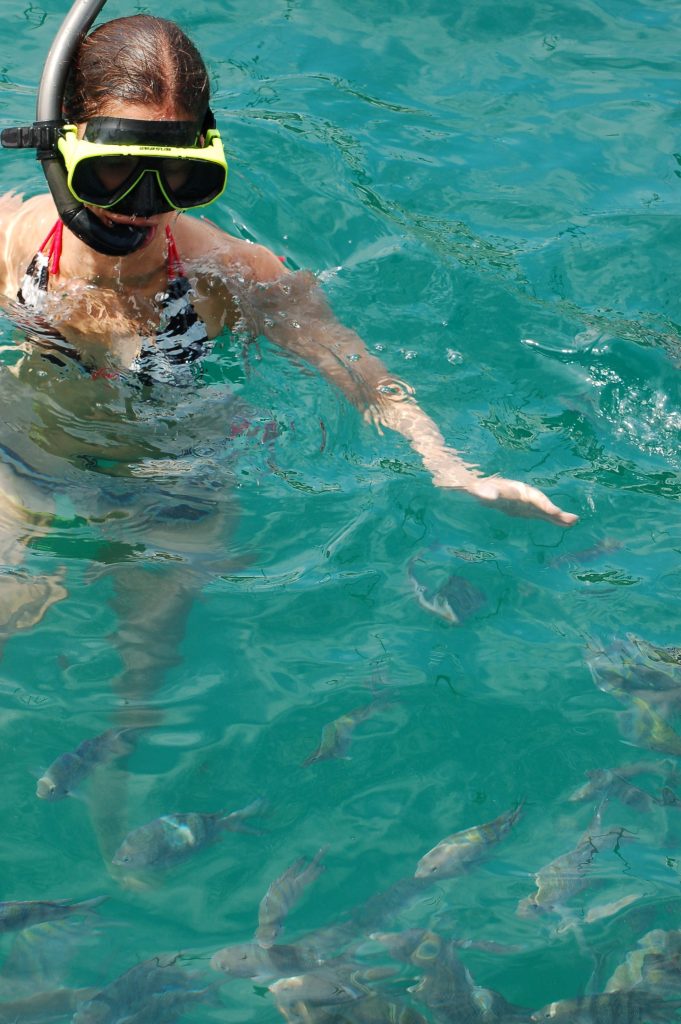 Dun, Dun. Dun, Dun. Dunana. What? Nobody's seen Jaws?